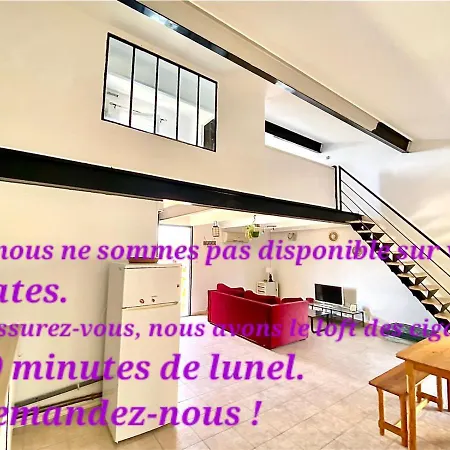 Holiday home Loft Ambrussum, Jacuzzi, Jardin,bbq *
