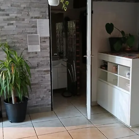 Holiday home Loft Ambrussum, Jacuzzi, Jardin,bbq